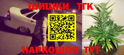 дурь Кингисепп