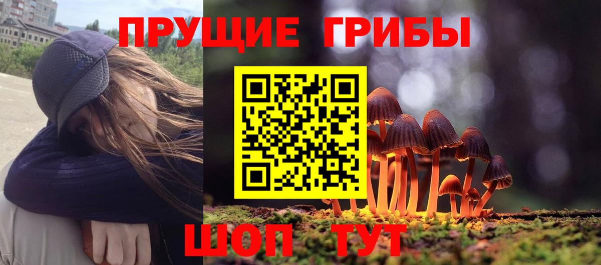 Псилоцибиновые грибы мицелий  Вход с VPN  Краснокаменск 